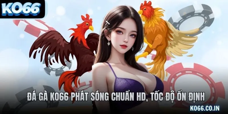 Đá gà KO66 phát sóng chuẩn HD, tốc độ ổn định