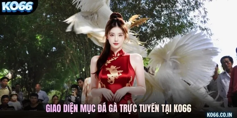 Giao diện mục đá gà trực tuyến tại KO66
