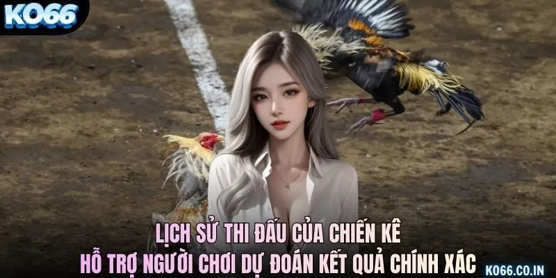 Lịch sử thi đấu của chiến kê, hỗ trợ người chơi dự đoán kết quả chính xác