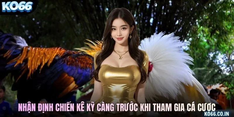 Nhận định chiến kê kỹ càng trước khi tham gia cá cược